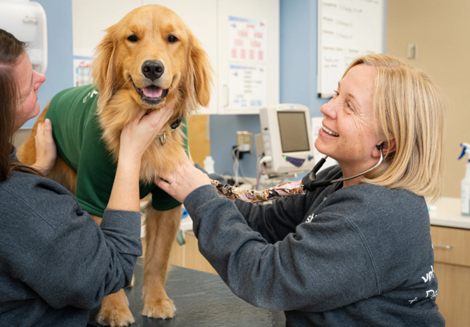 Dr. Alverson with Golden Retriever Dr. Alverson with Golden Retriever