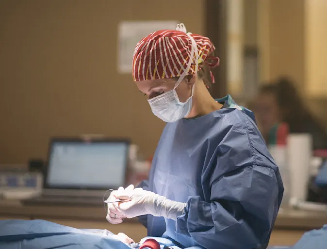 Vet performing surgery Vet performing surgery