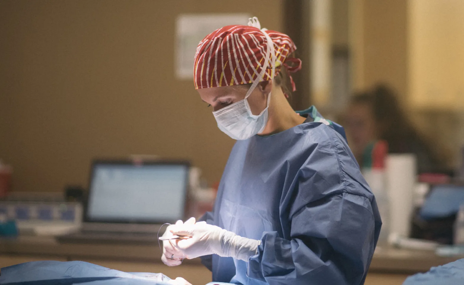 Vet performing surgery Vet performing surgery