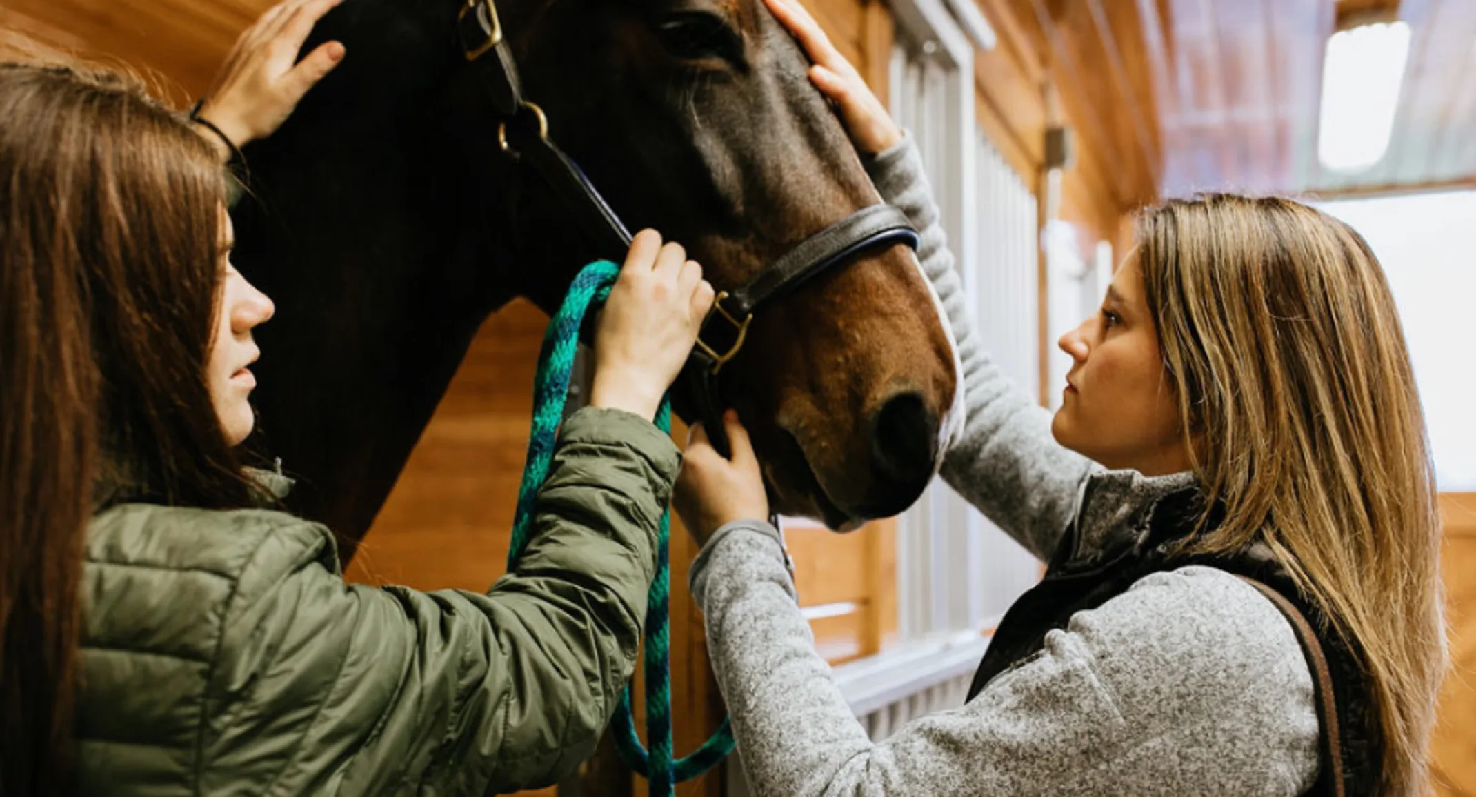 Doctor and technician about to perform a dental exam for a horse. Doctor and technician about to perform a dental exam for a horse.
