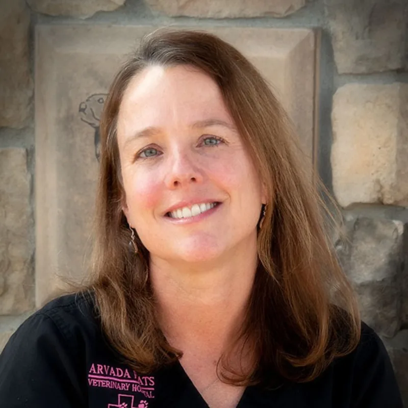 Dr. Kelly Best, DVM at Arvada Flats Veterinary Hospital Dr. Kelly Best, DVM at Arvada Flats Veterinary Hospital