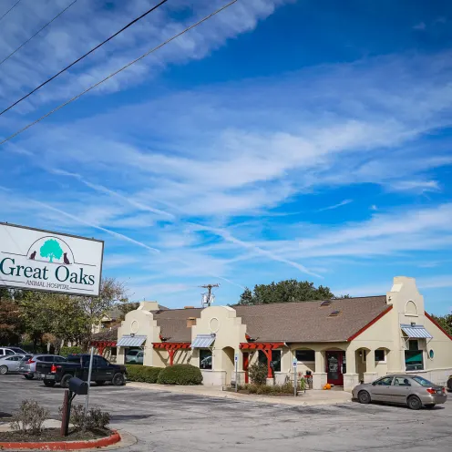 exterior of Great Oaks Animal Hospital in Round Rock, TX