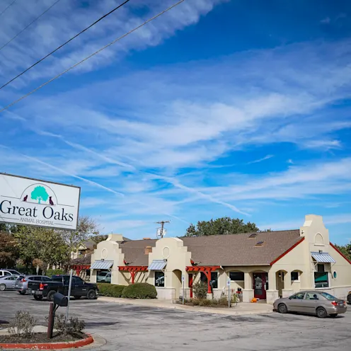 exterior of Great Oaks Animal Hospital in Round Rock, TX exterior of Great Oaks Animal Hospital in Round Rock, TX
