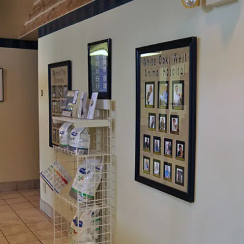 White Oaks West Animal Hospital Lobby