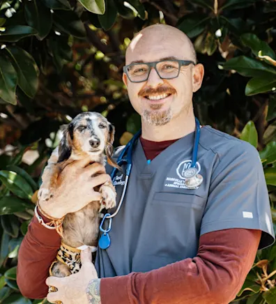 Jarrod M. Vancil, DVM & DACVIM at Nashville Veterinary Specialists Jarrod M. Vancil, DVM & DACVIM at Nashville Veterinary Specialists