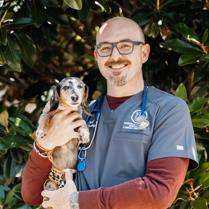 Jarrod M. Vancil, DVM & DACVIM at Nashville Veterinary Specialists Jarrod M. Vancil, DVM & DACVIM at Nashville Veterinary Specialists