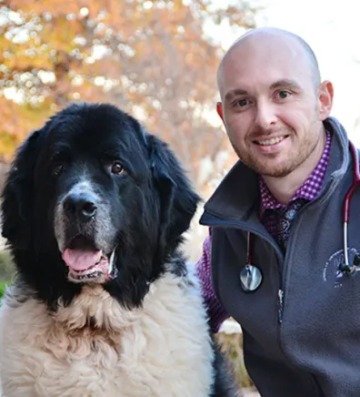 Jarrod M. Vancil, DVM & DACVIM at Nashville Veterinary Specialists