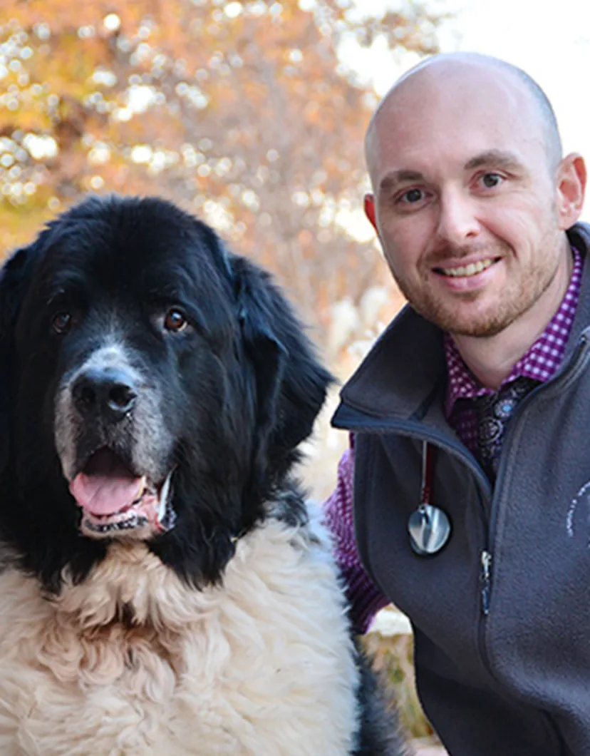 Jarrod M. Vancil, DVM & DACVIM at Nashville Veterinary Specialists