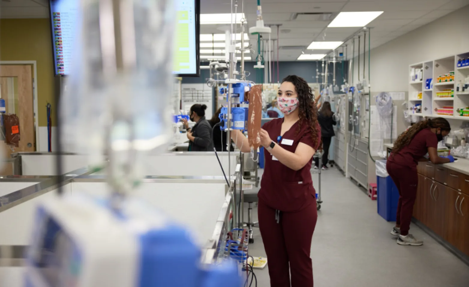 Critical Care Section of GCVS Critical Care Section of GCVS