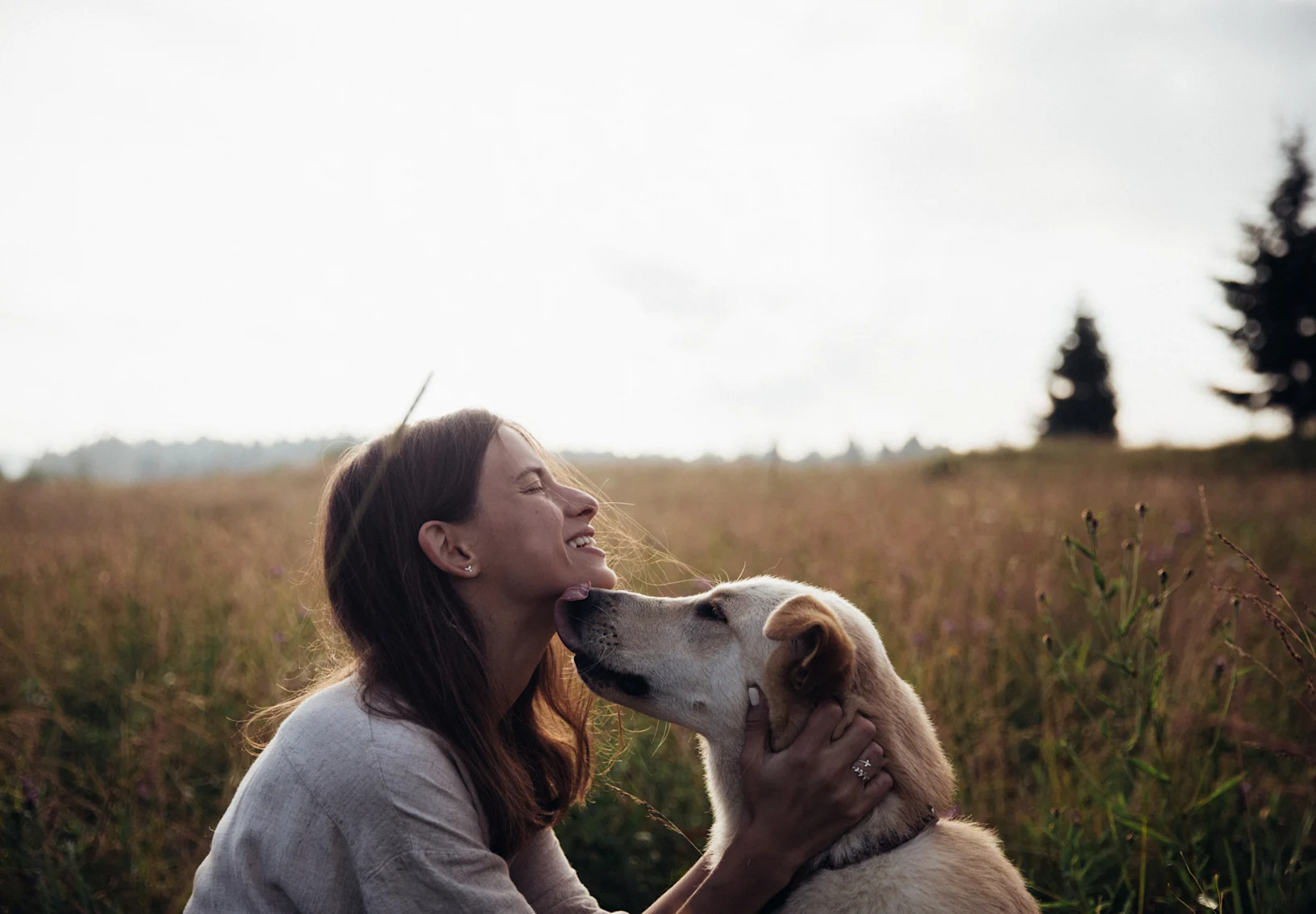 Cuddling dog in field Cuddling dog in field