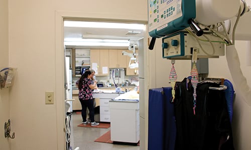 Doorway inside Evergreen Vet Clinic looking into the exam room with 2 vet staff
