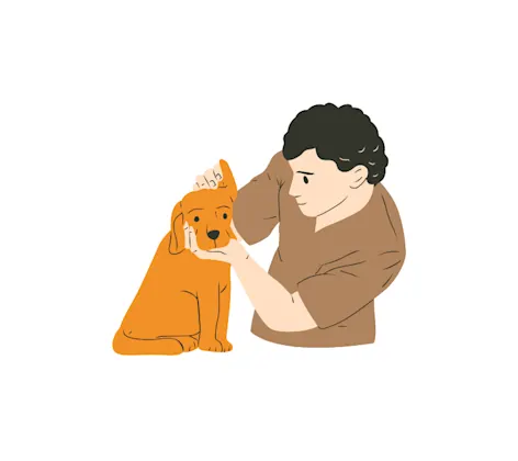 Flea, Tick and Heartworm Prevention Flea, Tick and Heartworm Prevention