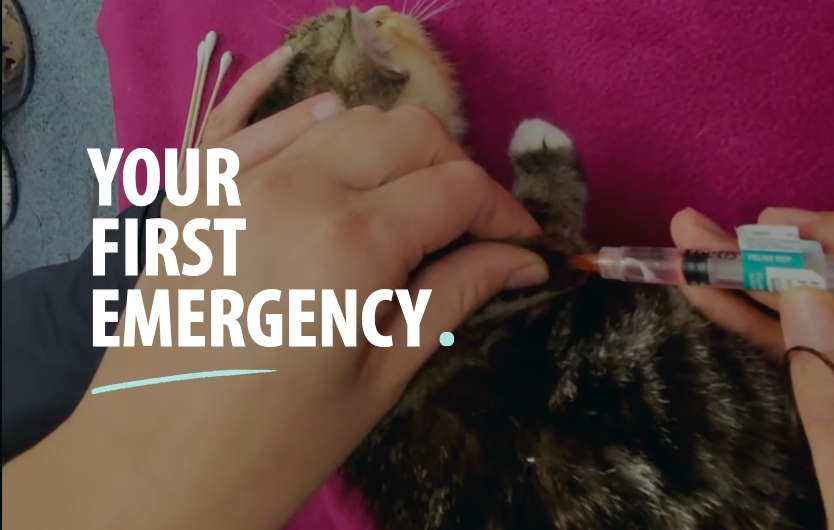Your First Emergency