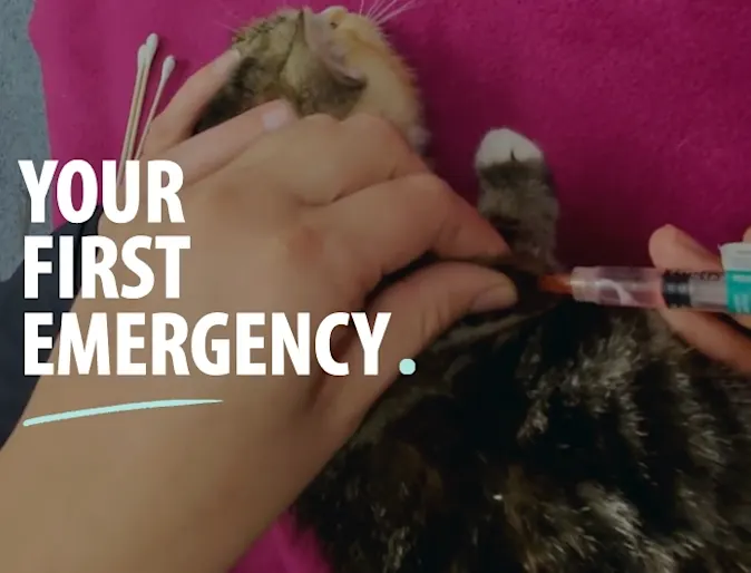 Your First Emergency Your First Emergency