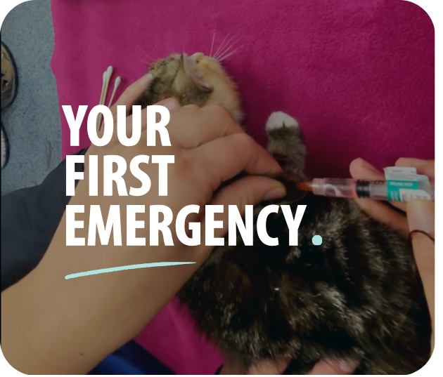 Your First Emergency