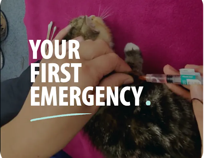 Your First Emergency Your First Emergency