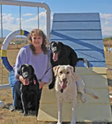 Kennette with multiple dogs Kennette with multiple dogs