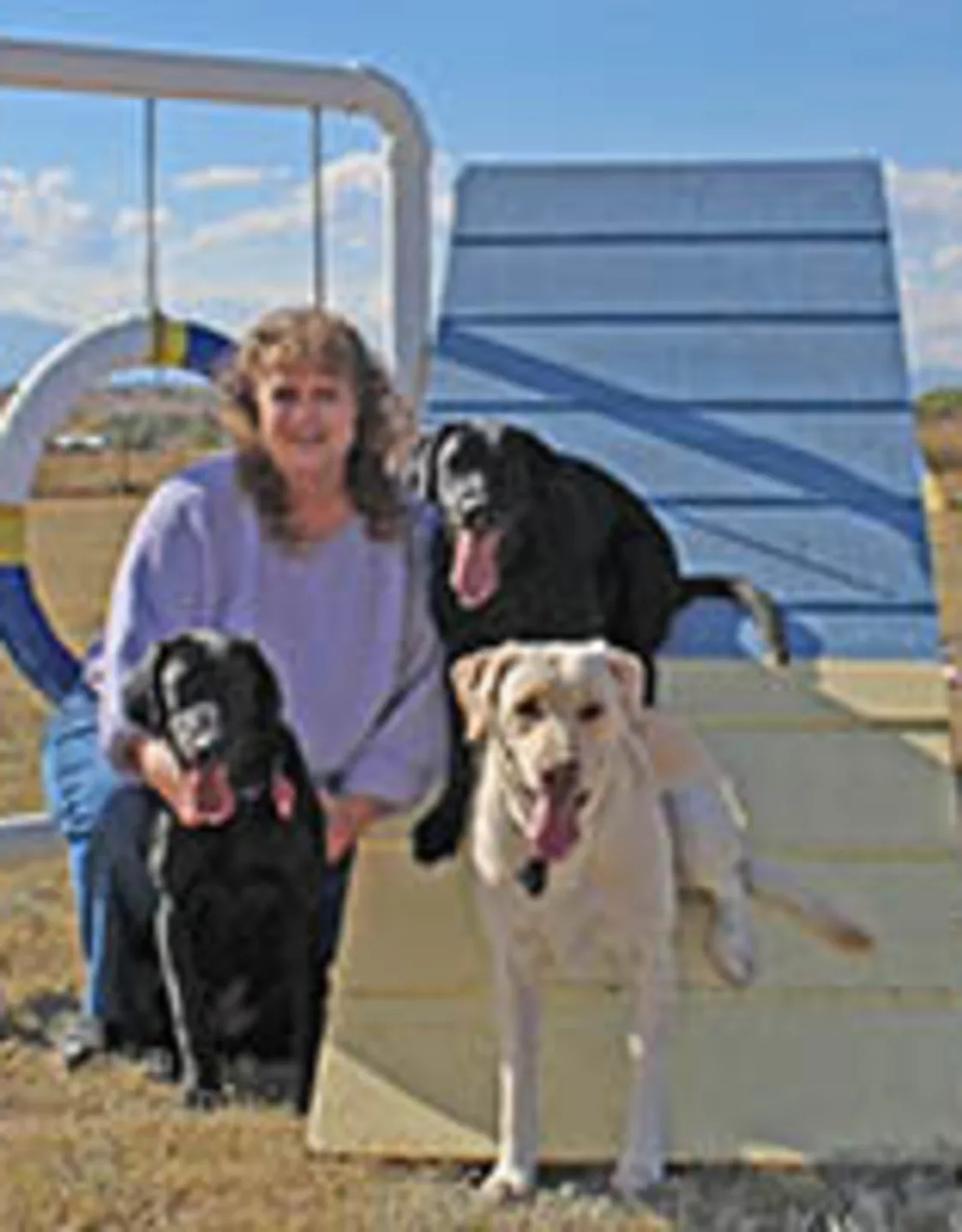 Kennette with multiple dogs Kennette with multiple dogs
