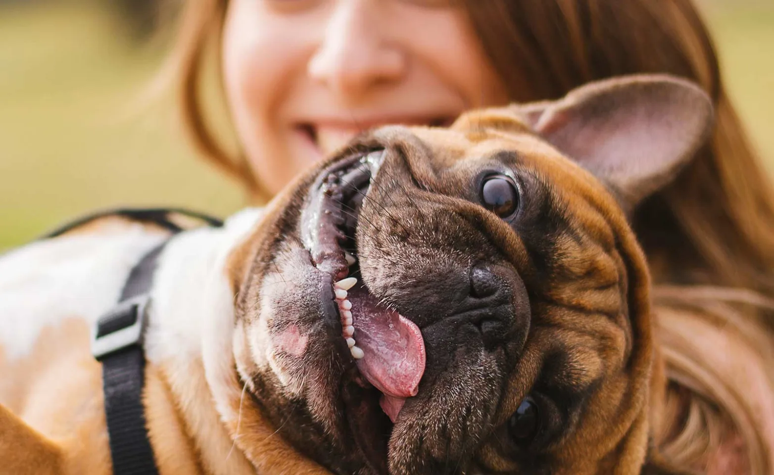 A woman outside smiling and holding a dog in her arms