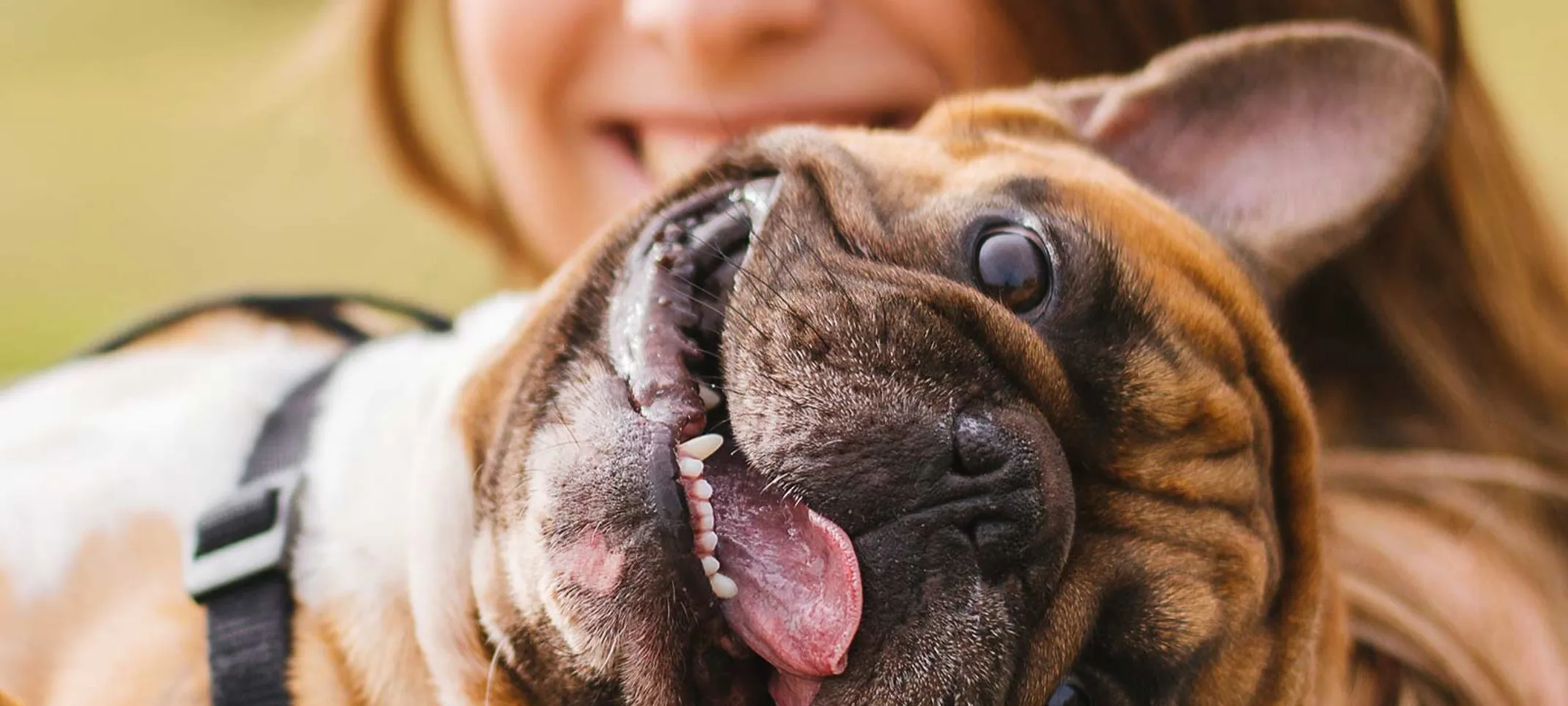 A woman outside smiling and holding a dog in her arms A woman outside smiling and holding a dog in her arms