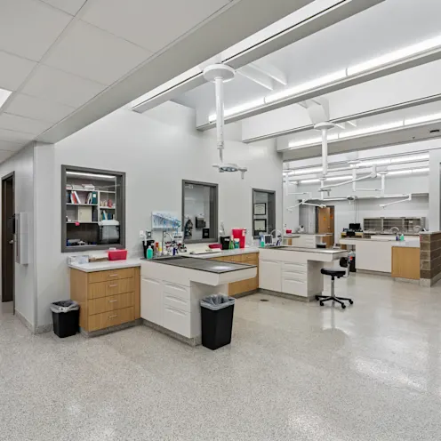 Dental Suite Dental Suite