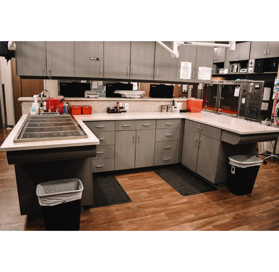 ICU Station in All City Pet Care Veterinary Emergency Hospital