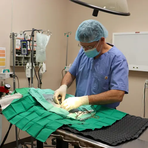 TH Surgery Prep TH Surgery Prep