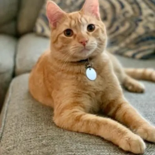 Oliver Armstrong Oliver Armstrong