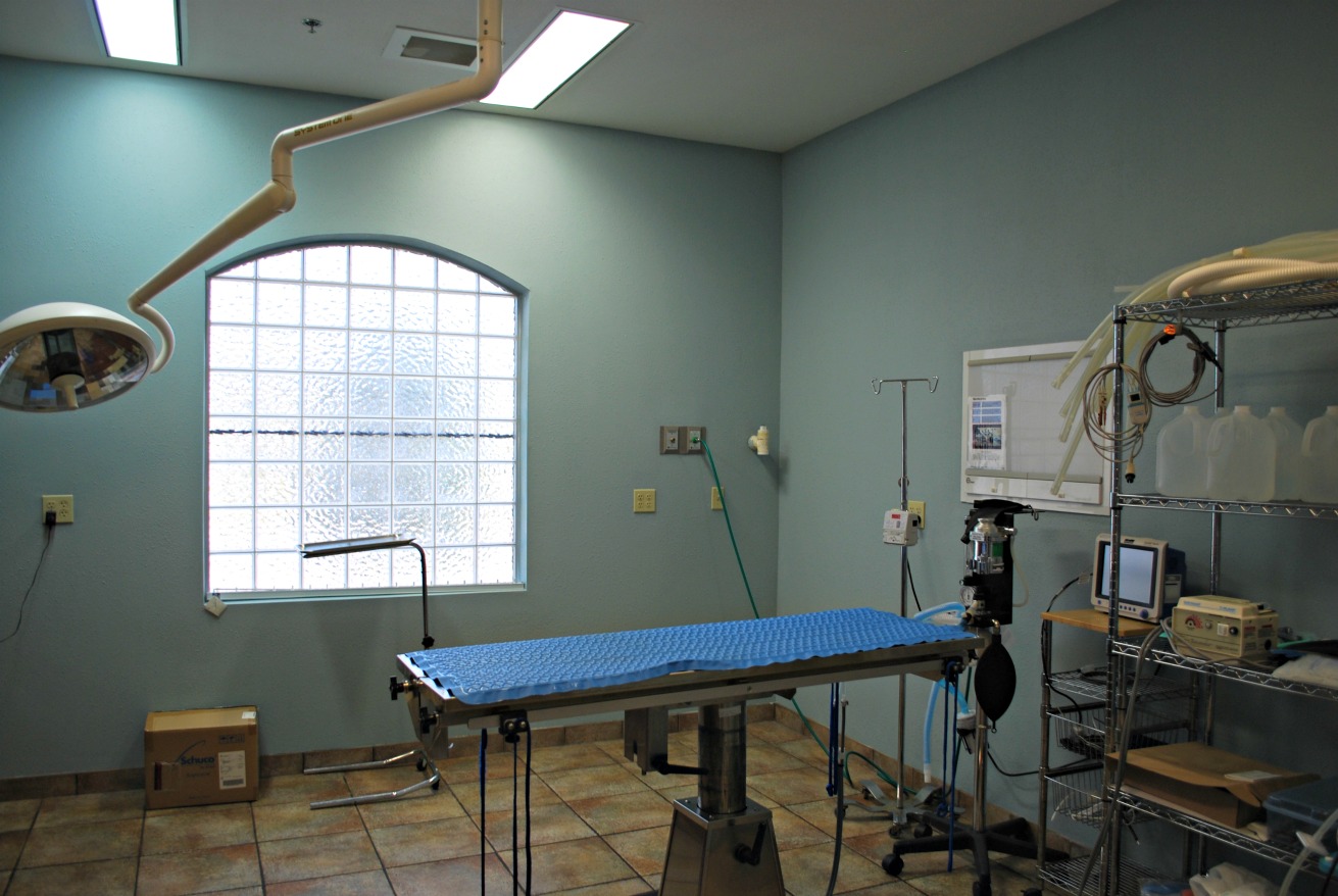 Emergency Animal Hospital of Collin County surgery suite