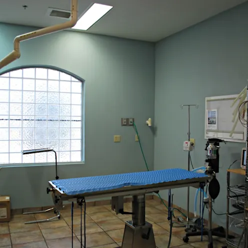 Emergency Animal Hospital of Collin County surgery suite Emergency Animal Hospital of Collin County surgery suite
