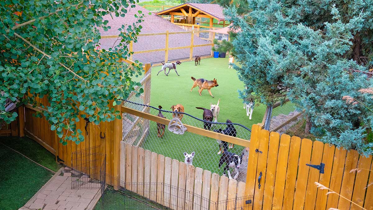 Bergen Bark Inn Yard