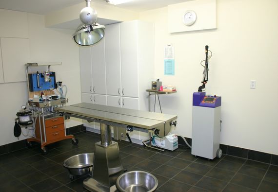 Surgical Suite 