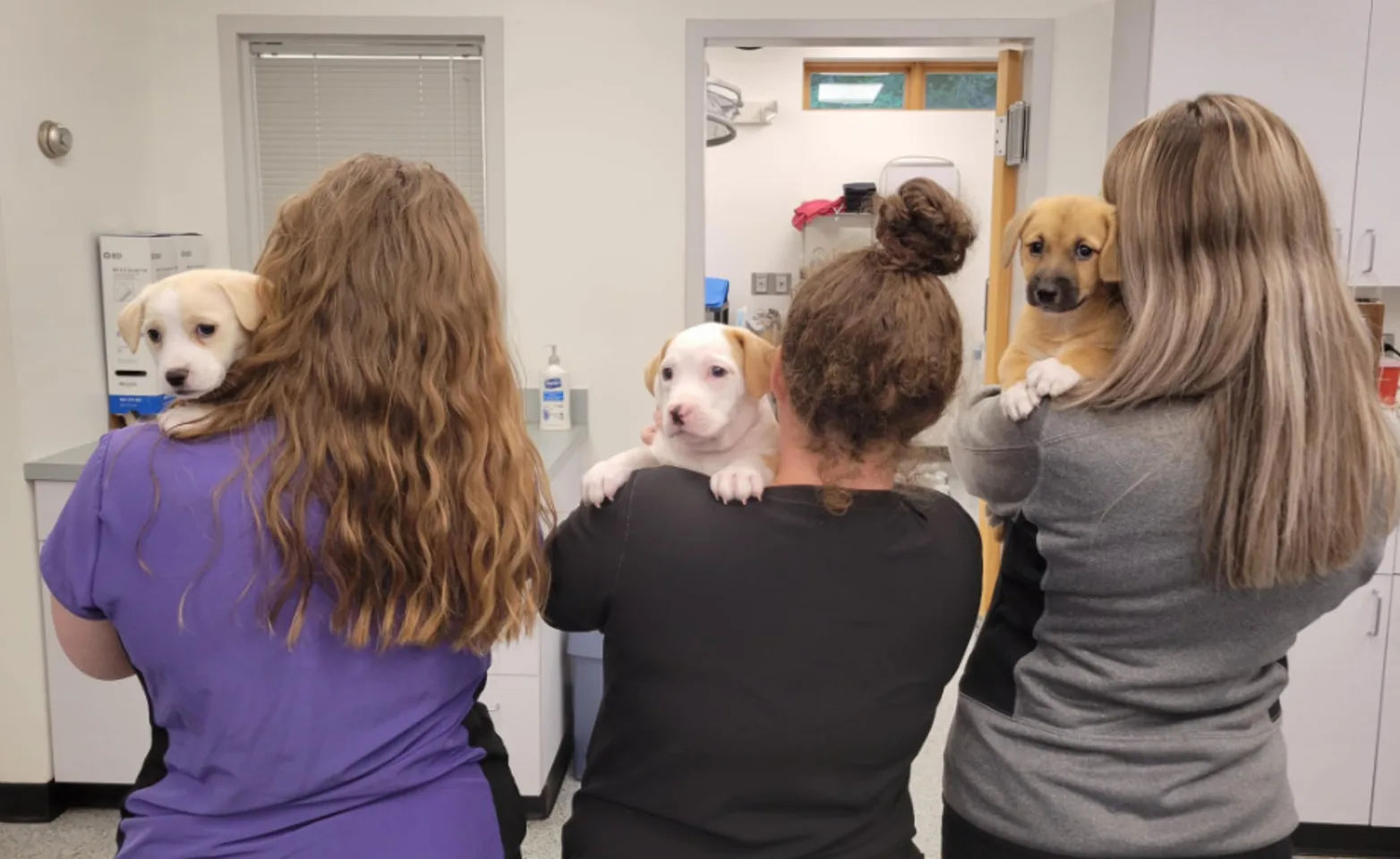 3 Staff Members Holding Puppies