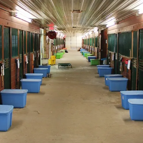 The Pet Ranch Kennels
