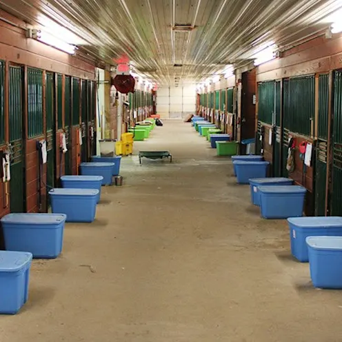 Gallery | The Pet Ranch