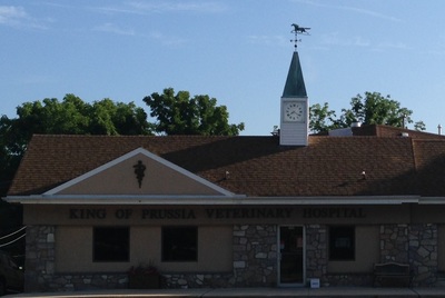 King of Prussia Veterinary Hospital Exterior