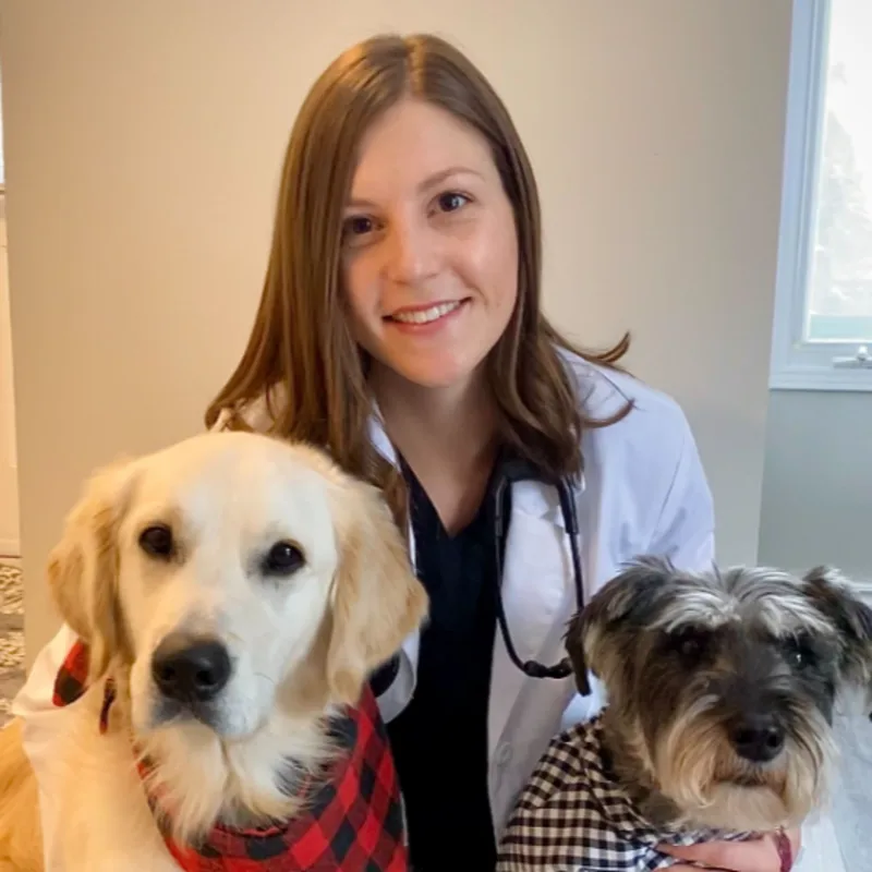 Photo of Dr Ashley Harrison. Photo of Dr Ashley Harrison.