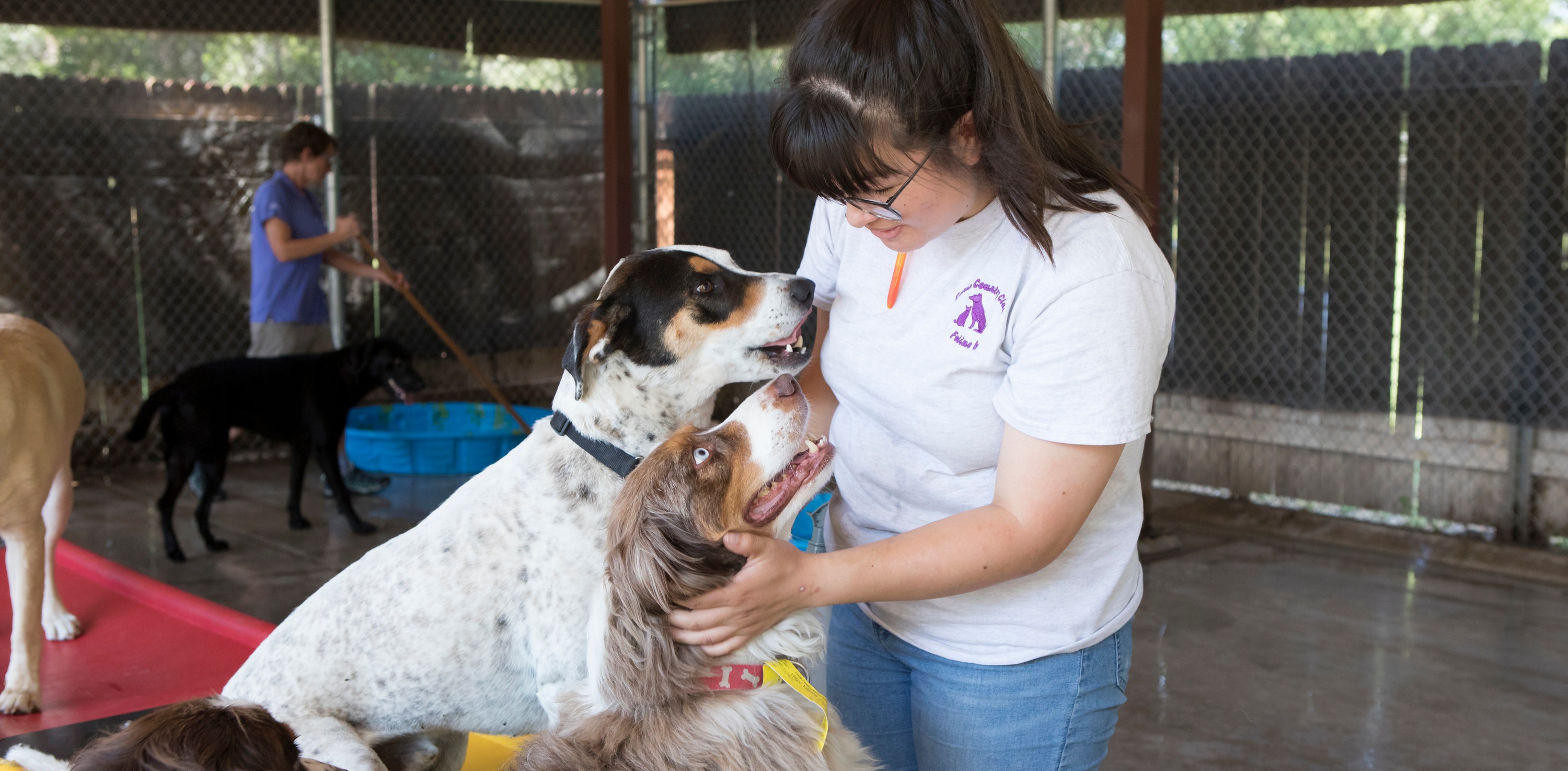 Dogs playing on play area with employee