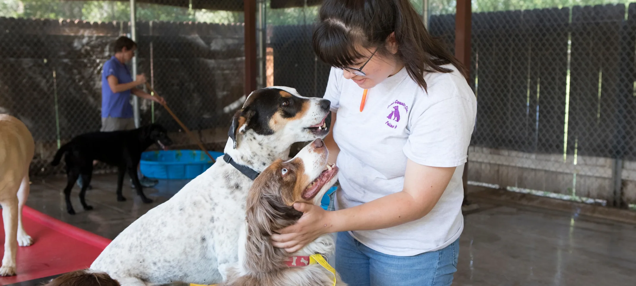 Dogs playing on play area with employee Dogs playing on play area with employee