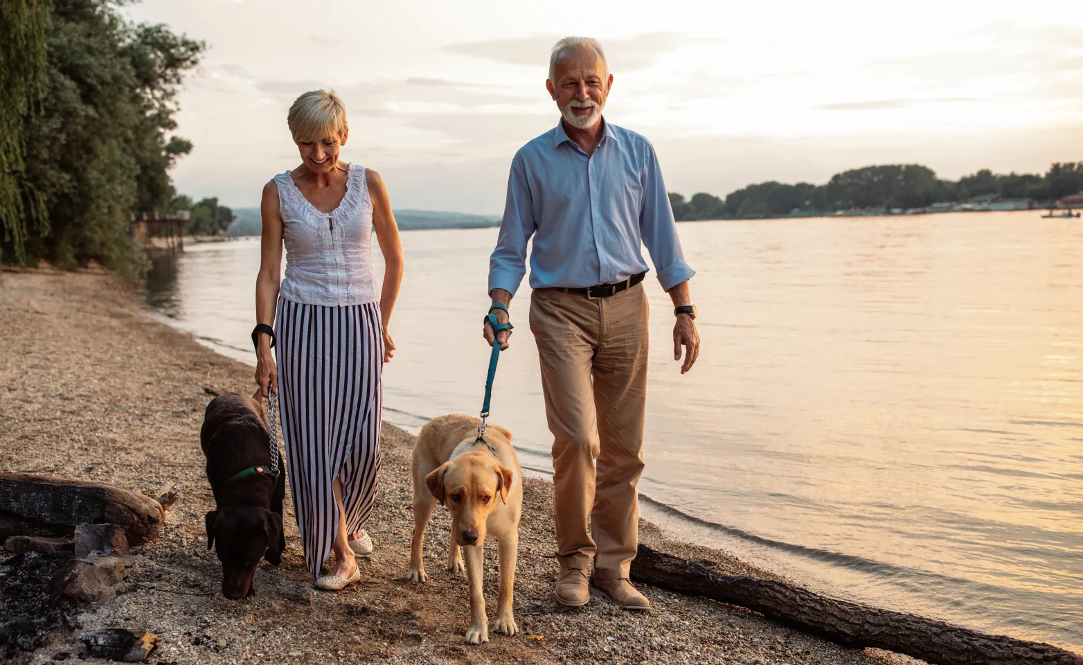 Old couple walking their dogs