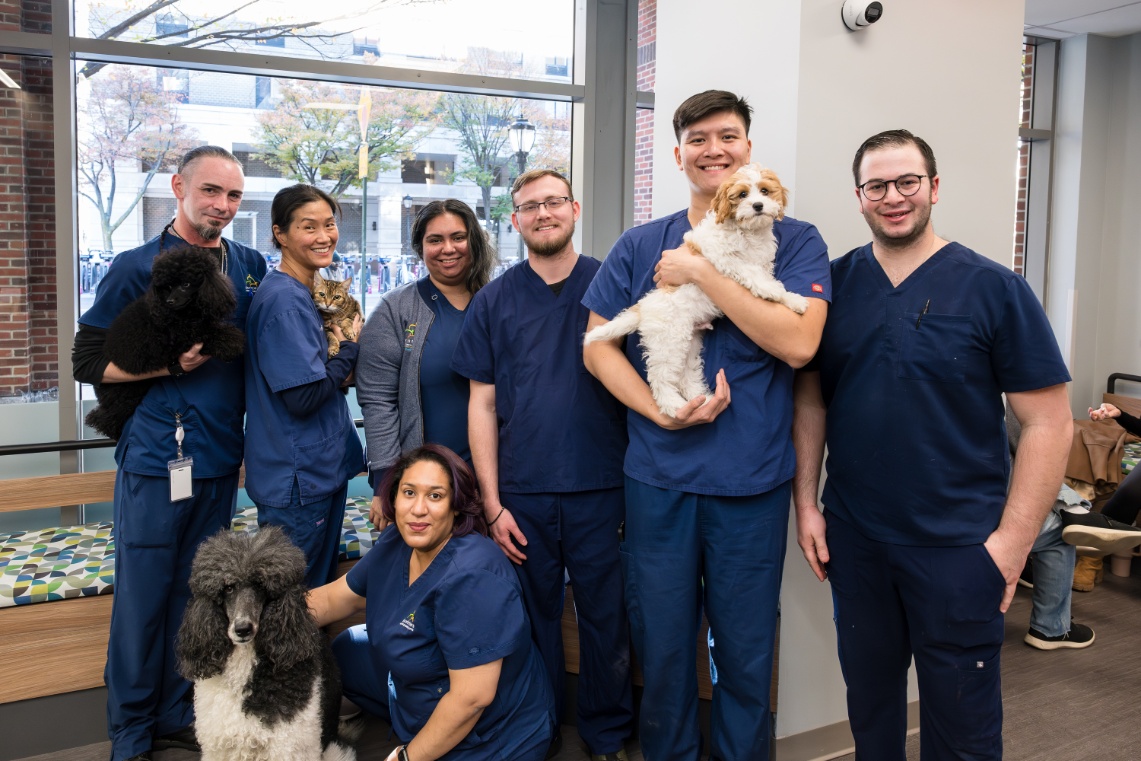 BP Group Nursing Staff