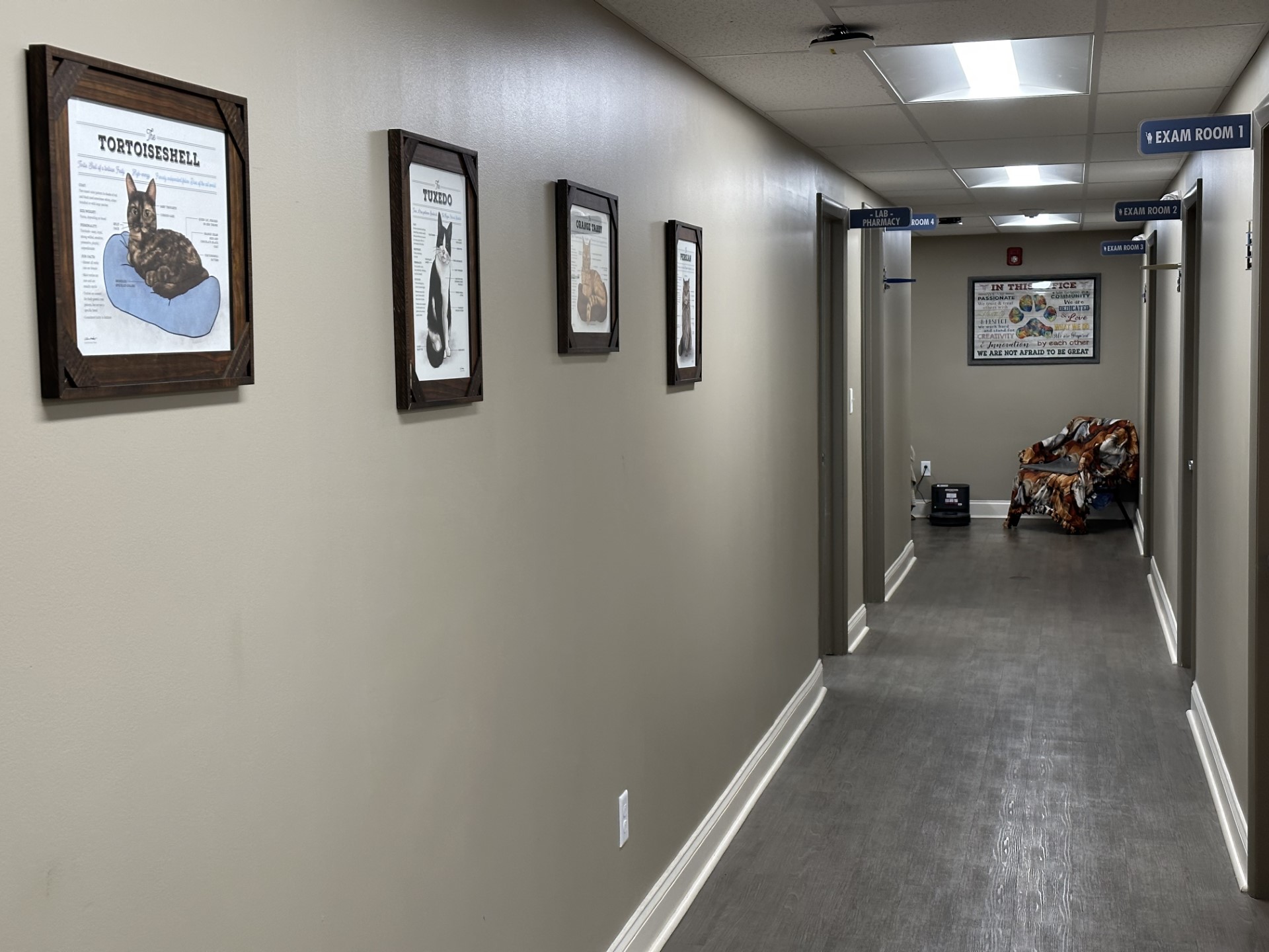 Paris Hill Cat Hospital Hallway leading to exam rooms 1,2,3, and 4 and the lab pharmacy