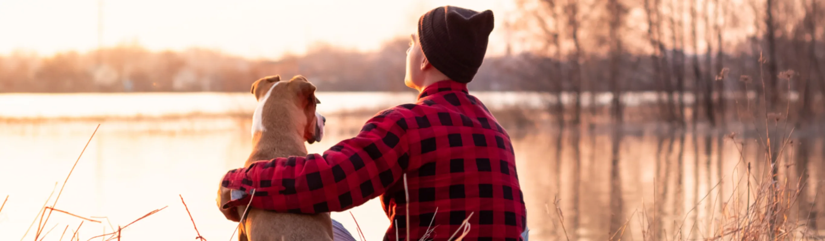 A person and a dog sitting on lakeside at sunset A person and a dog sitting on lakeside at sunset