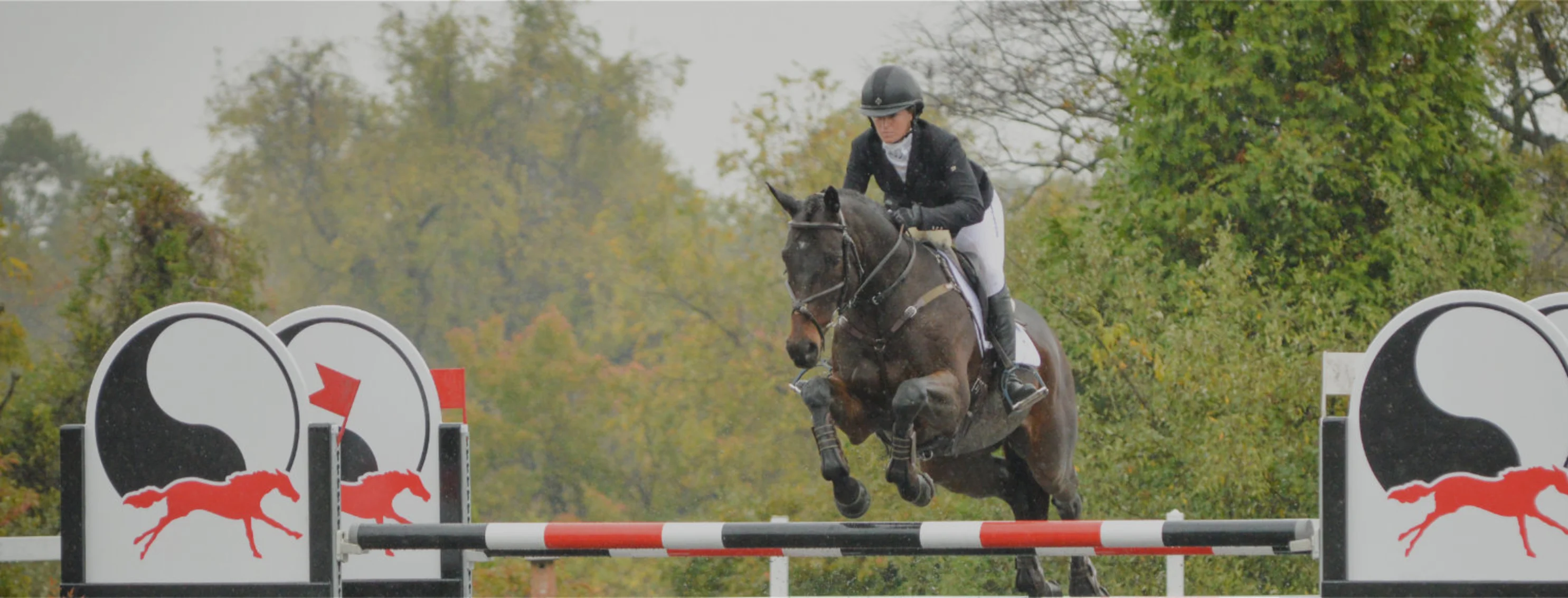 An Equestrian riding a Brown Horse