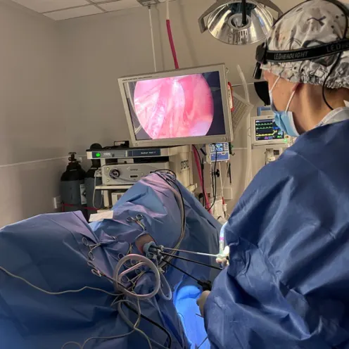 Dr. Nancy and Dr. Chesney performing a Laparoscopic Spay 