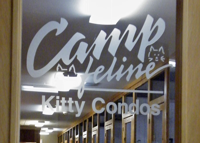 camp feline door 