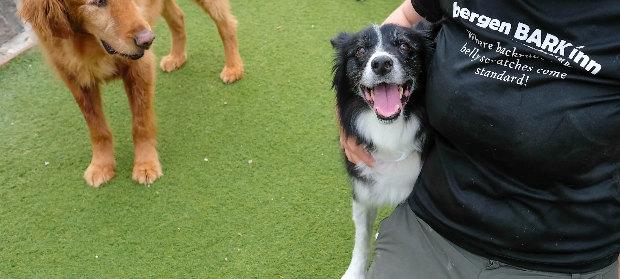 Dog with staff member smiling