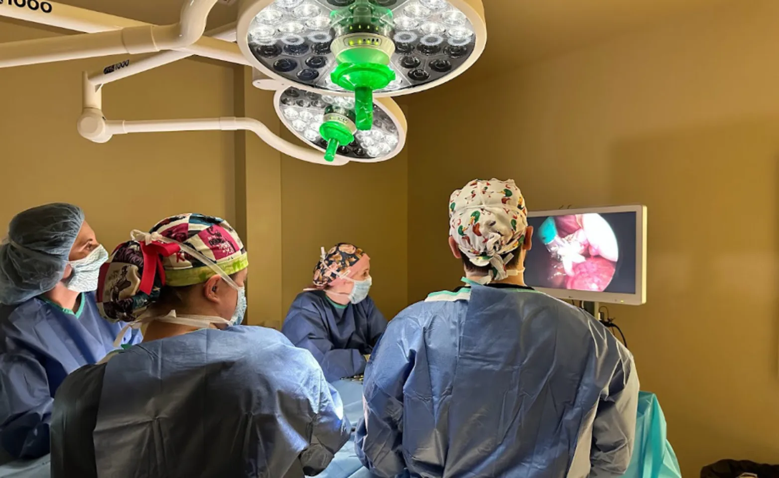 Vets performing laparoscopic surgery looking towards zoom camera Vets performing laparoscopic surgery looking towards zoom camera