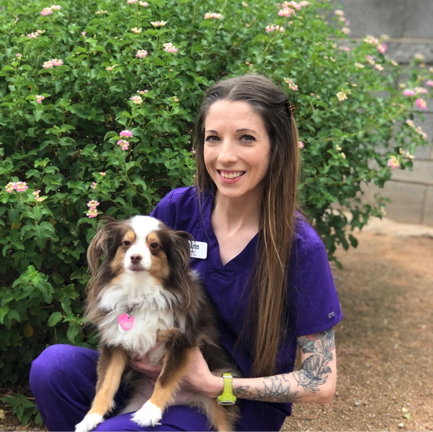 Lacey Alta Mesa Animal Hospital