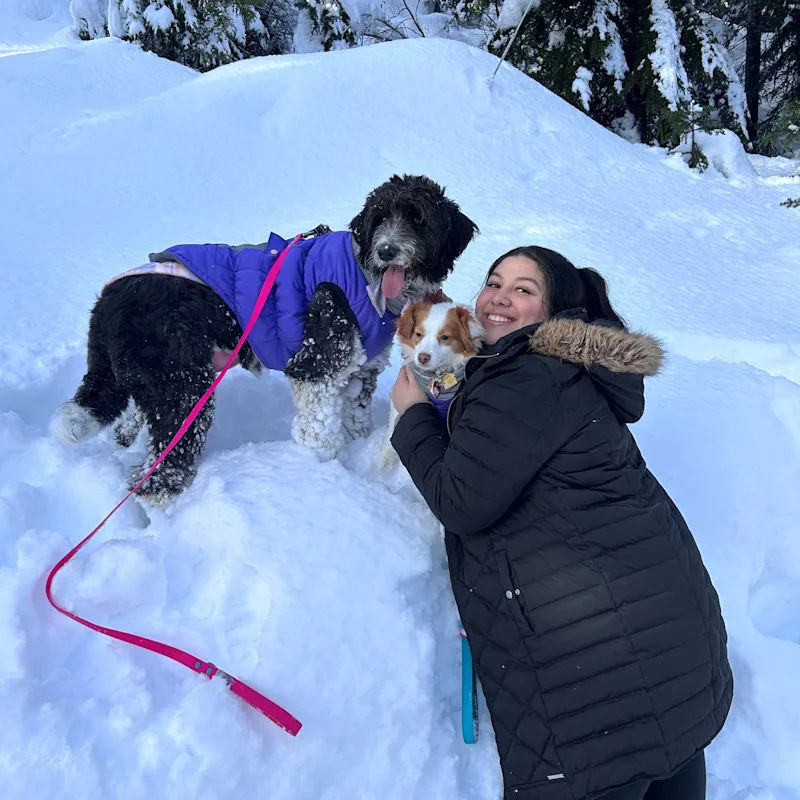 Veterinary Assistant Fernanda Veterinary Assistant Fernanda